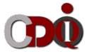 CDOIQ-Japan